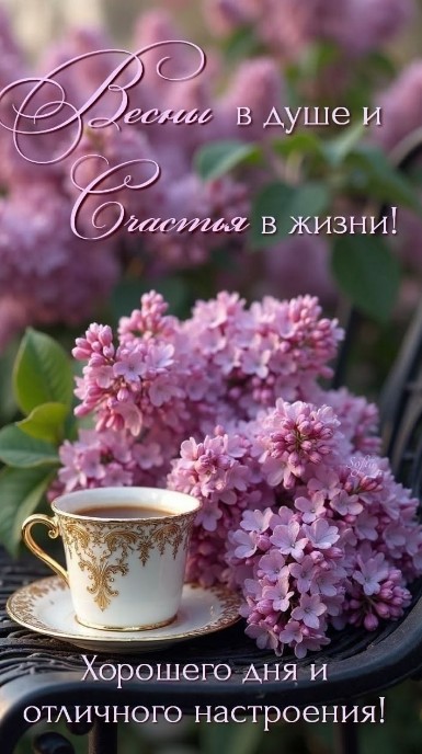 Красивая открытка с весенними цветами и пожеланием хорошего дня