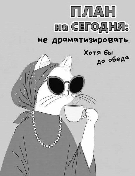Открытка с ироничным котом: План на сегодня не драматизировать