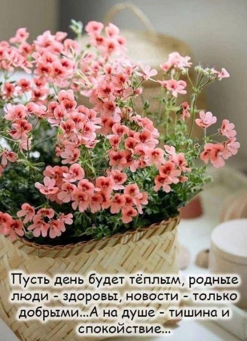 Открытка с пожеланием доброго дня и нежными цветами