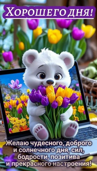 Открытка  чудесного и солнечного дня 