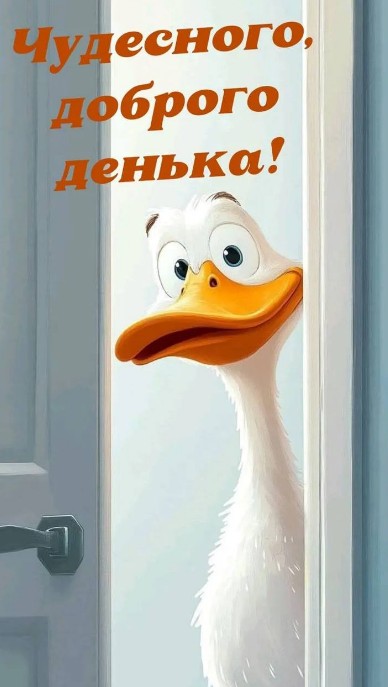 Открытка с добрым утром, забавный гусь желает чудесного дня