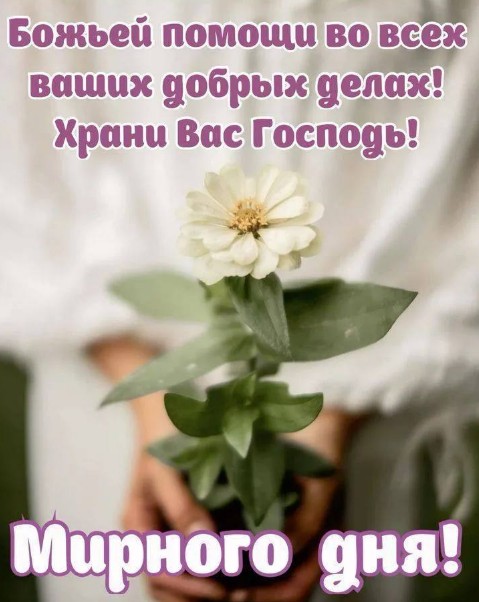 Душевная открытка с пожеланием Божьей помощи и мирного дня