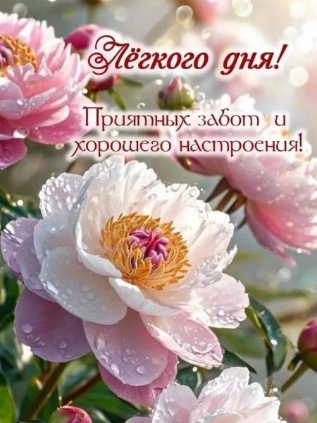 Открытка с пожеланием легкого дня и нежными пионами