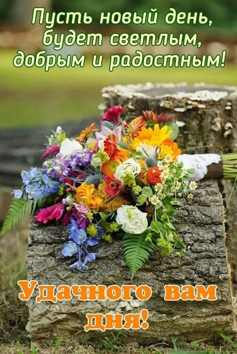 Открытка с пожеланием доброго дня и ярким букетом цветов