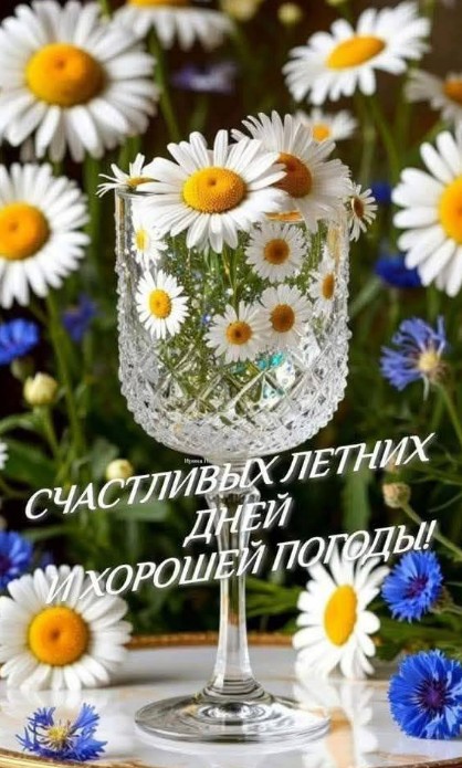 Открытка с пожеланием счастливых летних дней и хорошей погоды