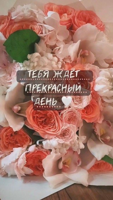 Тебя ждет прекрасный день