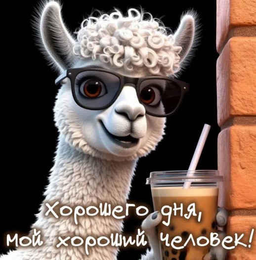 Хорошего дня мой хороший человек
