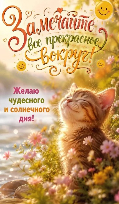 Желаю чудесного и солнечного дня