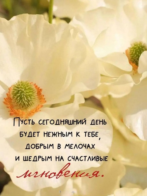 Открытка с пожеланием доброго дня и нежными цветами
