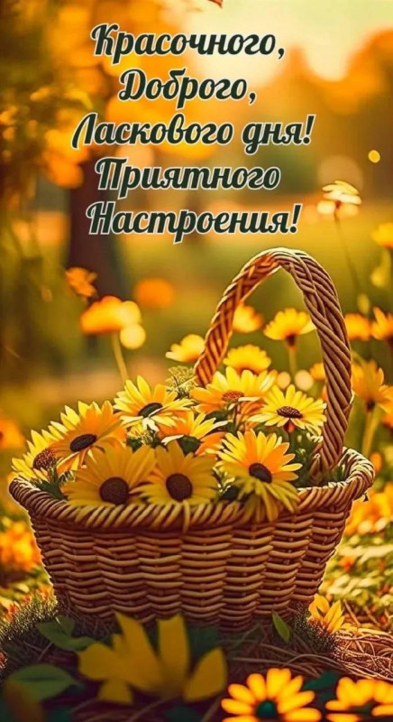 Открытка с пожеланием Красочного доброго ласкового дня