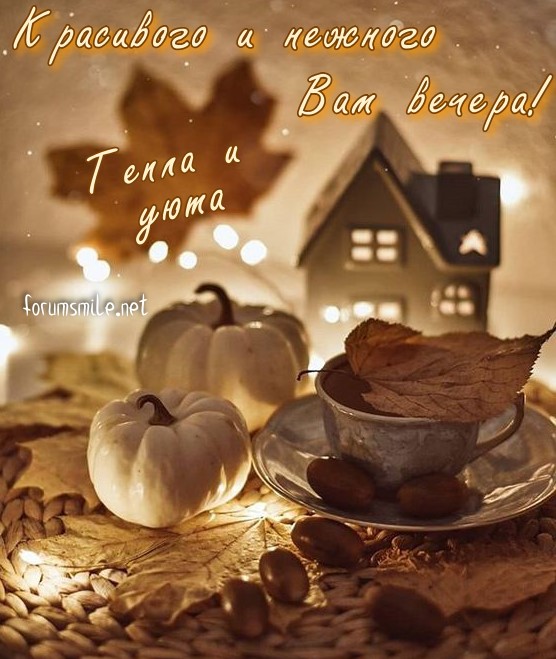 Красивого и нежного вам вечера, тепла и уюта!