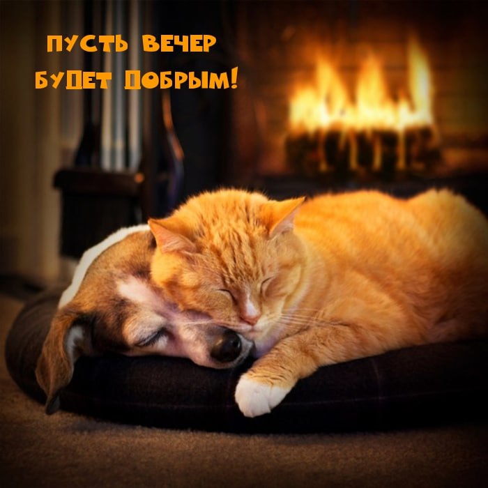 Пусть вечер будет добрым, теплым и немного сонным