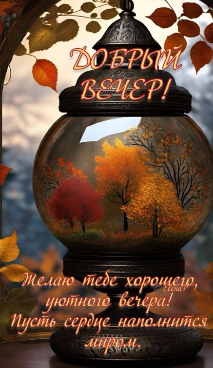 Желаю тебе хорошего уютного вечера, пусть сердце наполнится миром