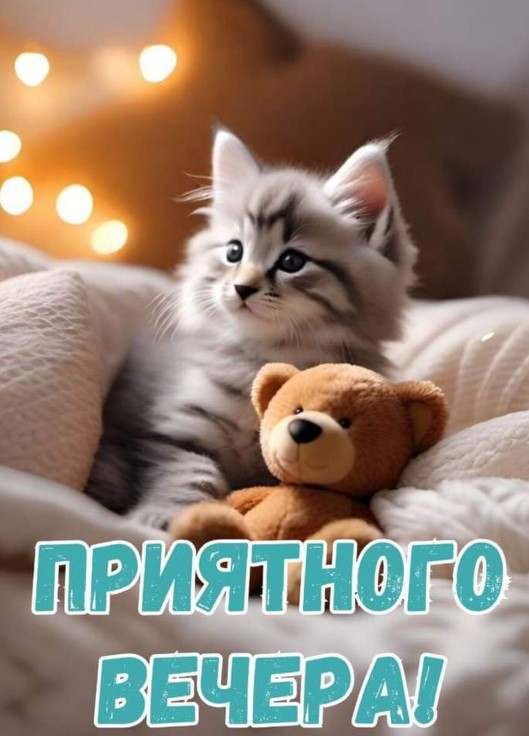Приятного вечера в семейном кругу