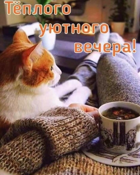 Теплого уютного вечера