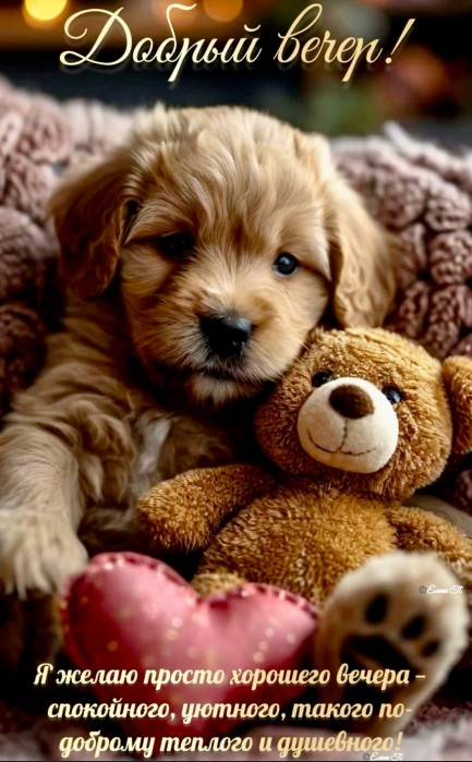 Открытка Добрый вечер с милым щенком и плюшевым мишкой