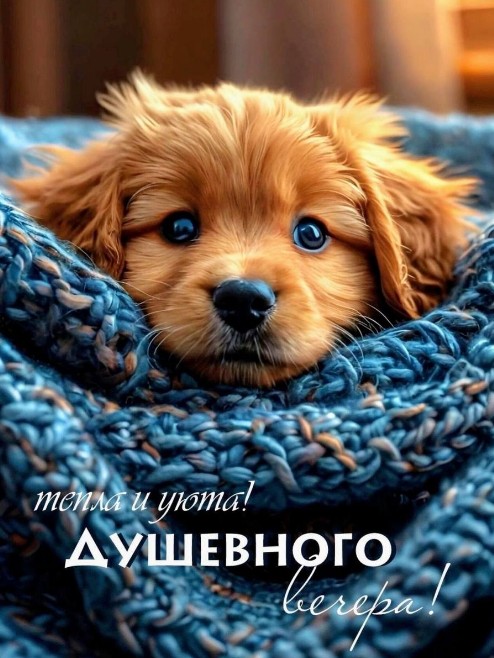 Душевного вечера! Тепла и уюта!