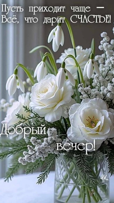 Красивая открытка «Добрый вечер» с белыми цветами