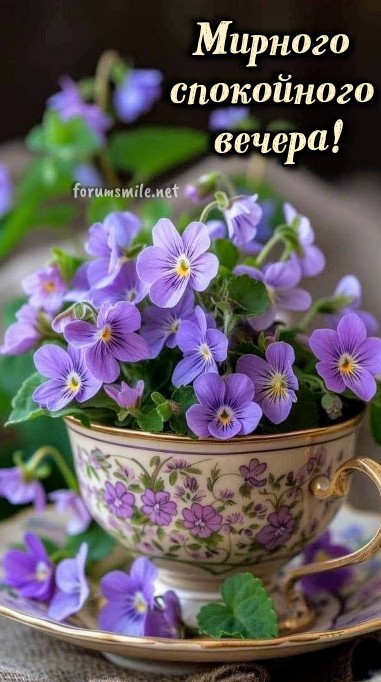Открытка с пожеланием Мирного спокойного вечера