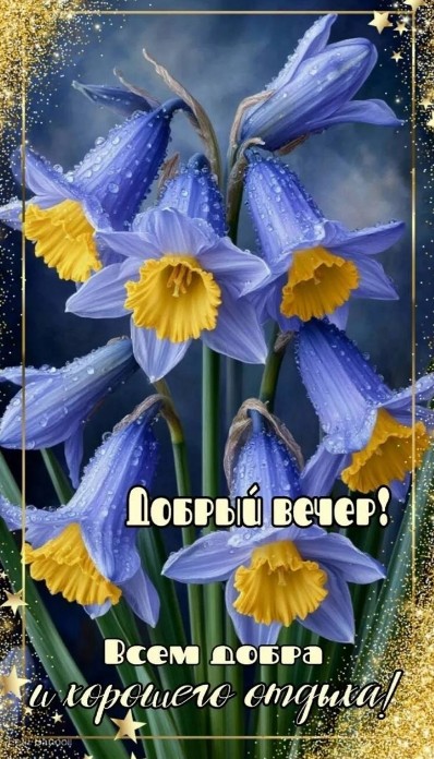 Открытка Добрый вечер с красивыми голубыми цветами
