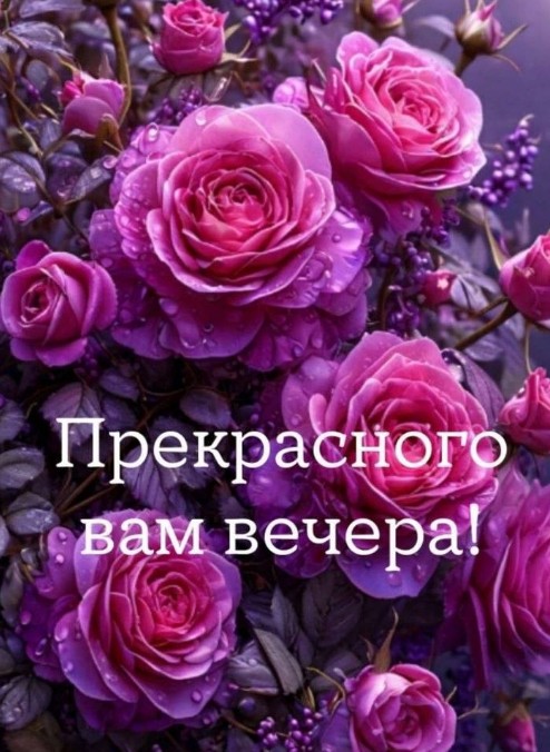 Красивая открытка с розами: Прекрасного вам вечера!
