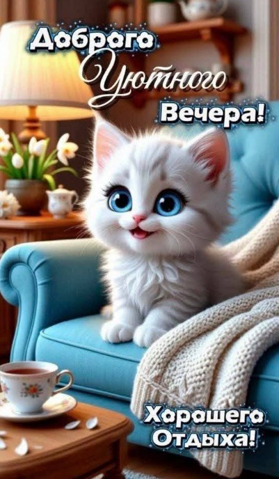 Красивая открытка Доброго уютного вечера с милым котенком