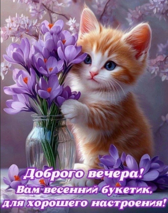 Открытка Доброго вечера с милым котенком и весенними цветами
