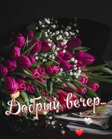 Красивая открытка Добрый вечер с букетом розовых тюльпанов