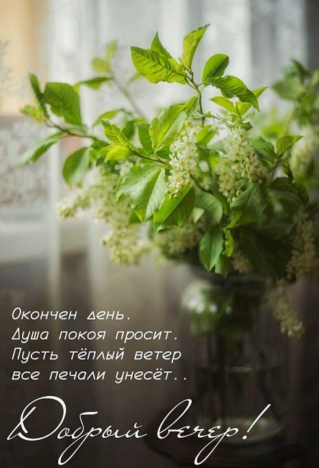 Открытка Добрый вечер с душевным пожеланием