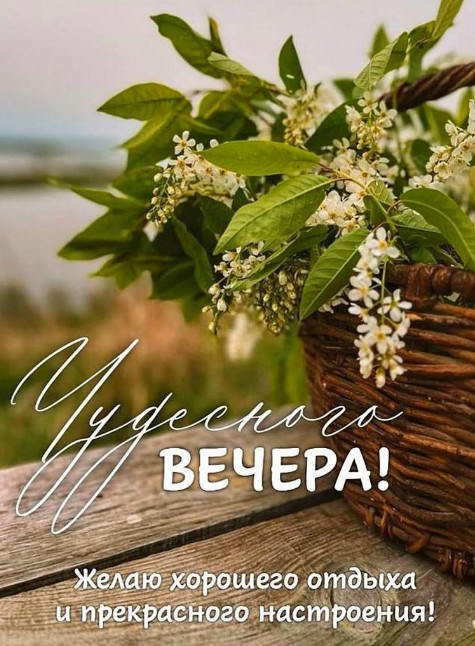 Пожелайте близким чудесного вечера с красивой открыткой. 