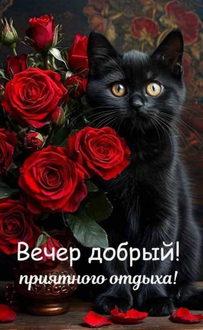 Открытка Вечер добрый