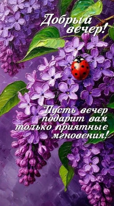 Открытка Добрый вечер с красивой сиренью и божьей коровкой