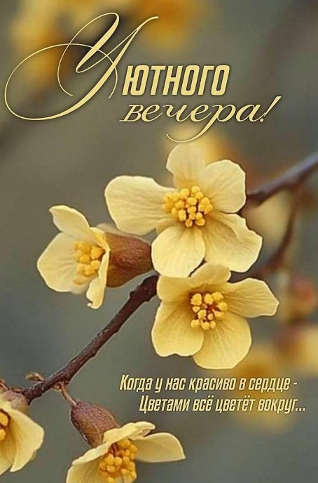 Открытка с пожеланием уютного вечера и нежными желтыми цветами