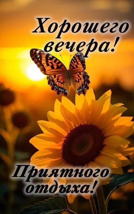 Открытка Хорошего вечера и приятного отдыха