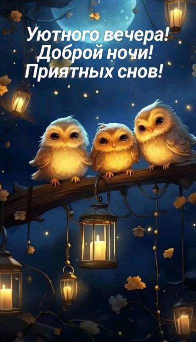 Уютного вечера! Доброй ночи!