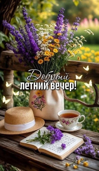Добрый летний вечер!