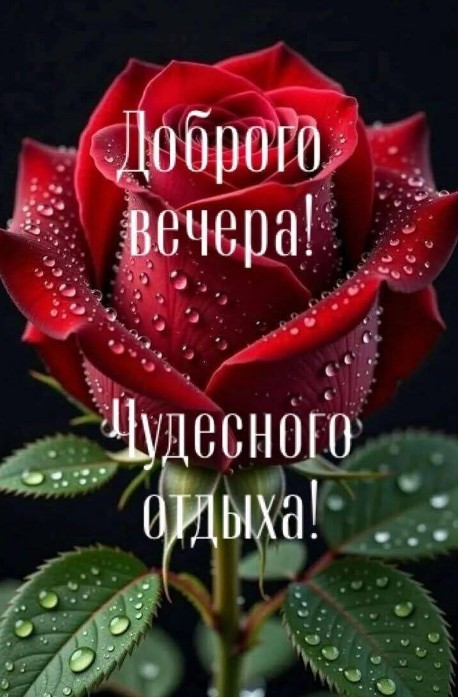 Красивая открытка Доброго вечера