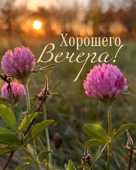 Открытка с пожеланием хорошего вечера