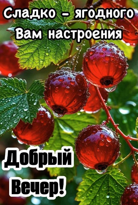Добрый вечер с красной смородиной
