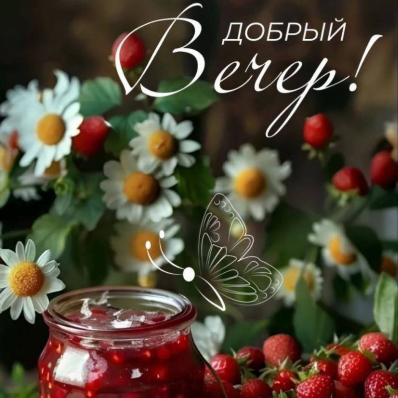Открытка Добрый вечер с ромашками и клубникой