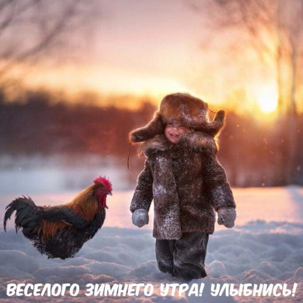 Открытка зимнего утра