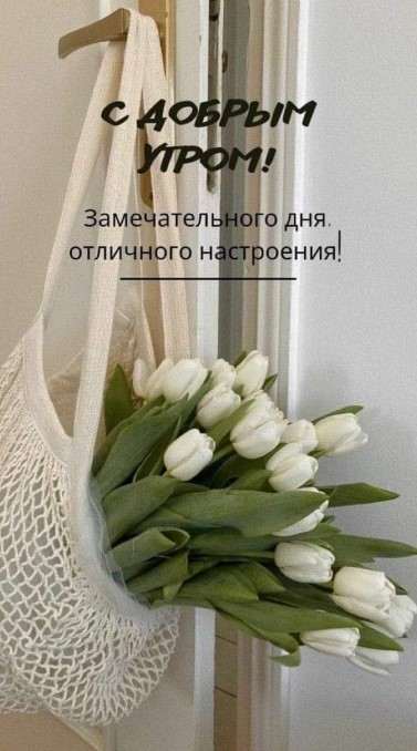 Открытка с добрым утром, хорошего дня 