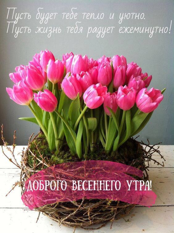 Доброго веcеннего утра, пусть тебе будет тепло и уютно