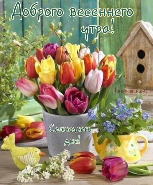 Открытка доброго весеннего утра с тюльпанами и птичкой