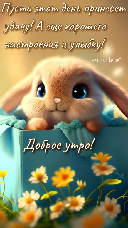Доброе утро, пусть этот день принесет удачу, а еще хорошего настроения и улыбку!