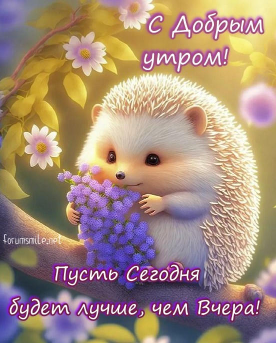С добрым утром, пусть сегодня будет лучше, чем вчера!
