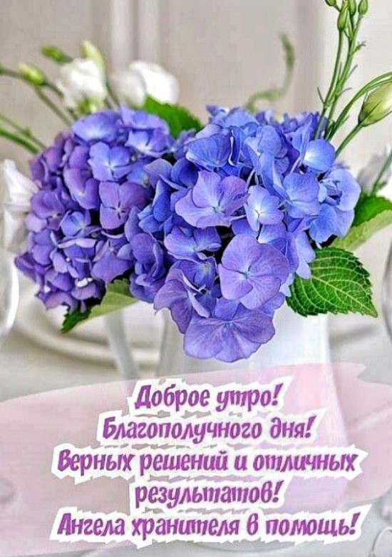Доброе утро и благополучного дня
