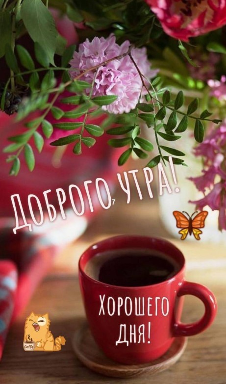 Доброе утро и хорошего дня с чашечкой чая