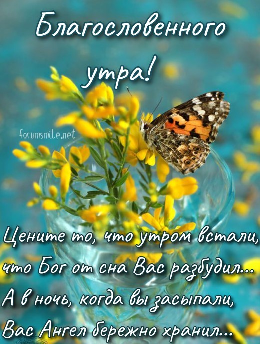 Благословенного утра, цените то, что у вас есть