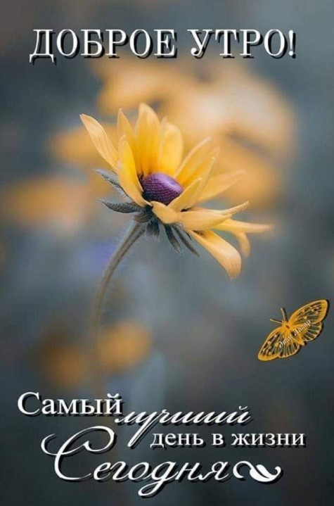 Доброе утро, сегодня возможно самый лучший день в жизни!